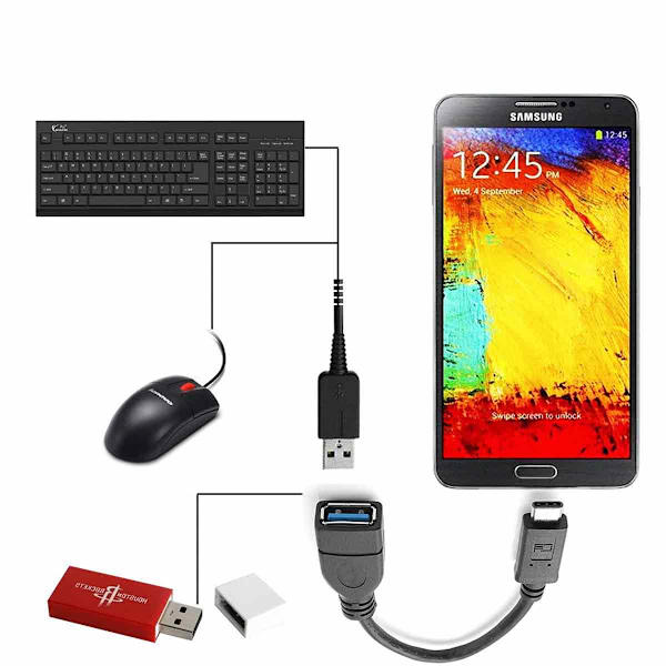 AVIZAR DATE-OTG-USBC USB-C-adapter