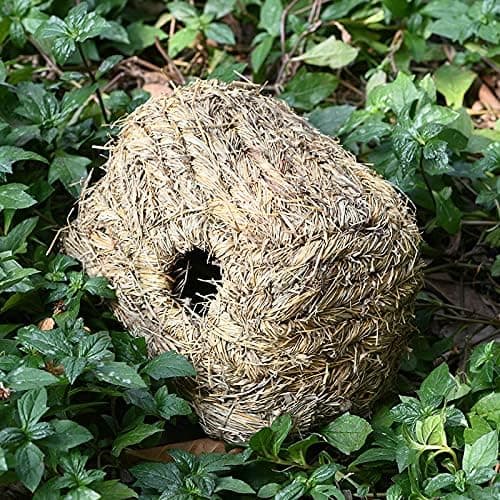 Gresstunneler for hamstergjemmesteder, hamstertunneler, natur