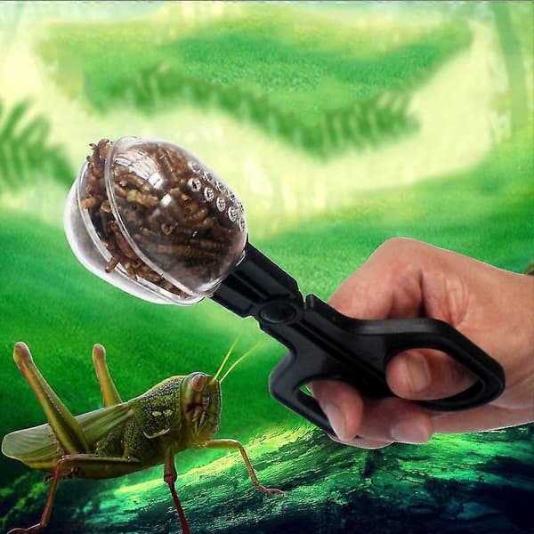 Matningsskopa för reptiler med skedformade spetsar för ormar, ödlor, geckos och tarantlar