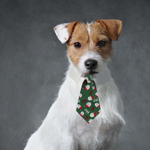 Kæledyrsslips Hundeslips Justerbart Kostume Hundehalsbånd Slips Festtilbehør Julekostume L