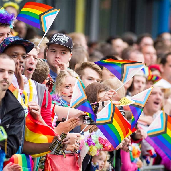 Mini Håndholdte Pride Flag, Høj Synlighed Pride Flag, 50 Stk, Kompakte og Letvægts til Parader, Festligheder
