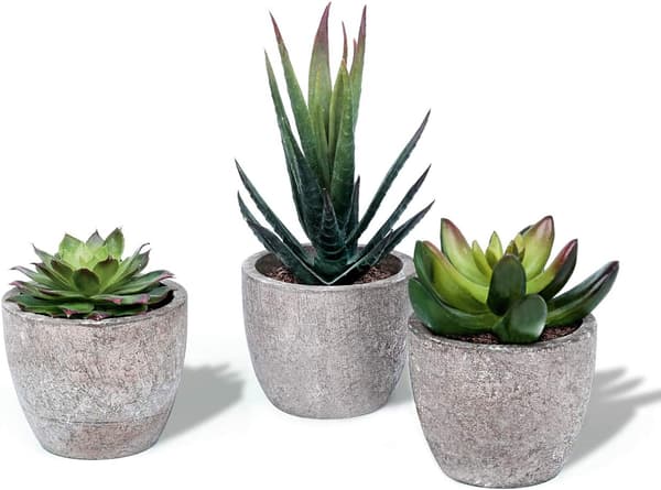Bærekraftig sukkulentutstilling, naturtro kunstige planter for blomstring hele året