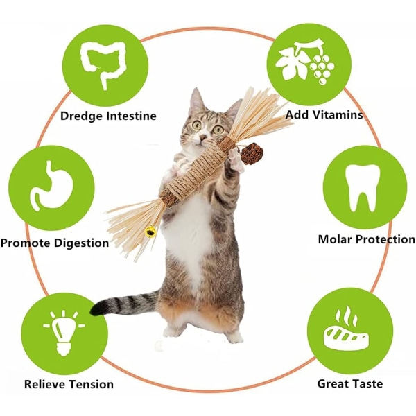 4 st katttuggleksaker, kattmynteleksaker för rengöring av kattungens tänder, interaktiva kattleksaker för innekatter