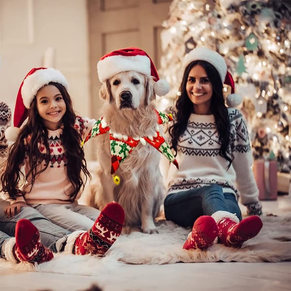 Kæledyrs julepynt Hundehalsbånd Kæledyrshalsbånd