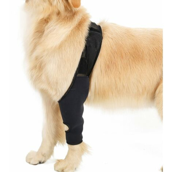Forbenet/Bagben Støttebandage til Hunde - Genoptræning efter Forstuvning, Smertelindring, XS