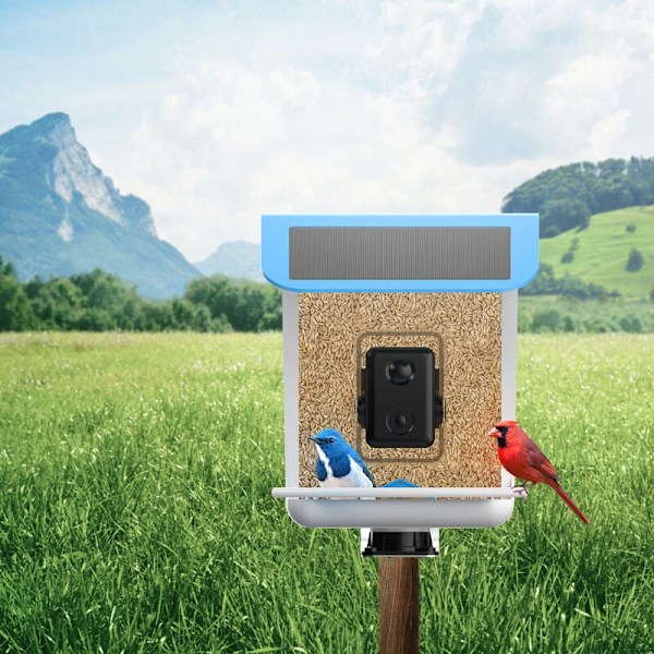 Avian Observer, AI-driven HD fågelmatare med mörkerseende och fokus på integritet, trådlös appstyrning för sömlös utomhusnjutning (2,5L,