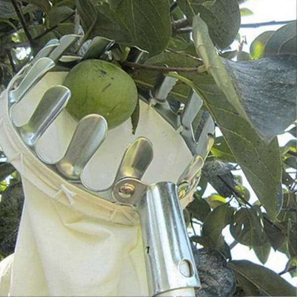 Ergonomisk frugtplukker Effektiv manuel metal rustfri plukkeværktøj til haven