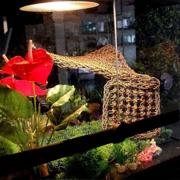 Ed Ock Reptile Hermit -lelut terraarioon, tarvikkeet elinympäristöihin, 2 kpl