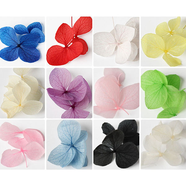 12 Farger Neglekunst Tørkede Blomster Ekte Tørre Blomster Negle DIY Dekorasjon med Pinsett