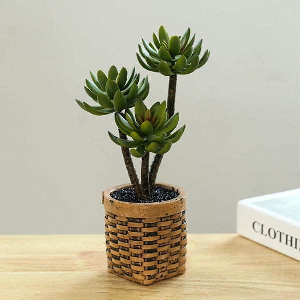 Konstgjorda suckulenter, bonsai, kreativa heminredningsartiklar,