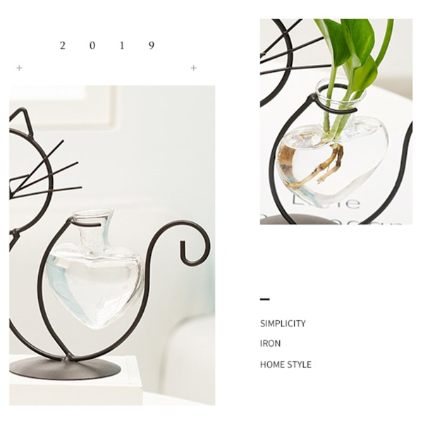 Enkel Kat Jern Blomst Vare Hydroponisk Blomsterarrangement Vase