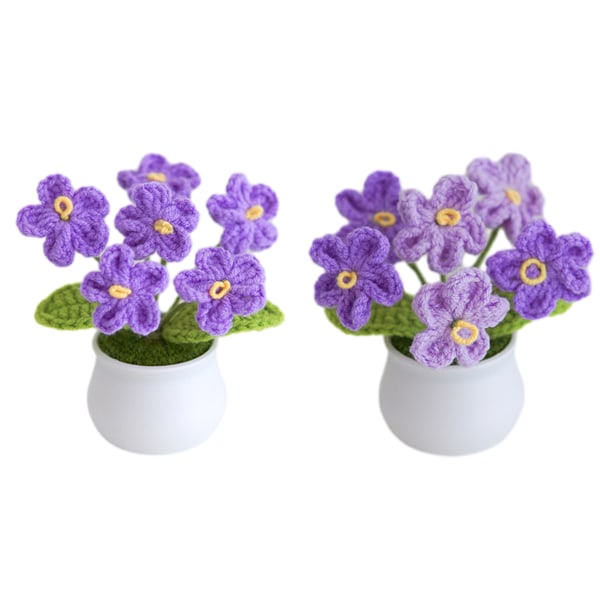 2 krukor med handgjorda sex små blommor krukväxter hem