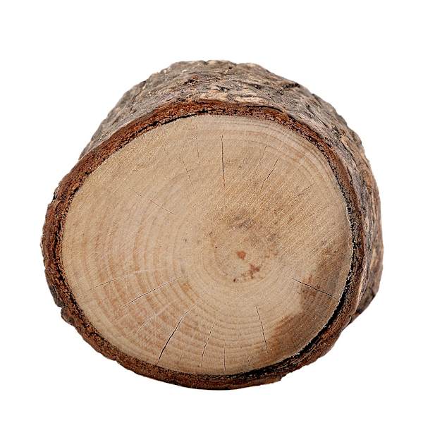 Trä Timmer Hög Ljusstake Stativ Ljusstake Logg Blomkruka Prydnad Dekor(Medium)