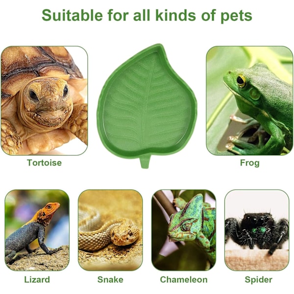 Reptilbladskål Vannbolle Skilpaddefôrplate Reptilbladrett for Skilpadde Maisorm Krypende Kjæledyr Drikke Spise Akvarium Ornament