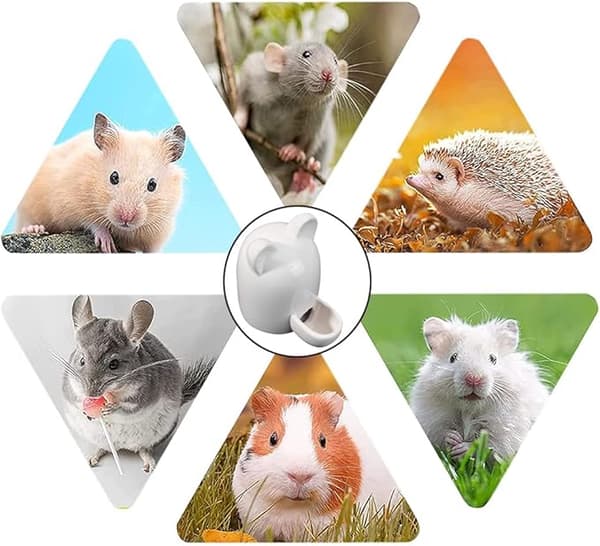 Keramisk Djurflaska, Liten Vattendispenser, Tyst Vattenbehållare, Hamster