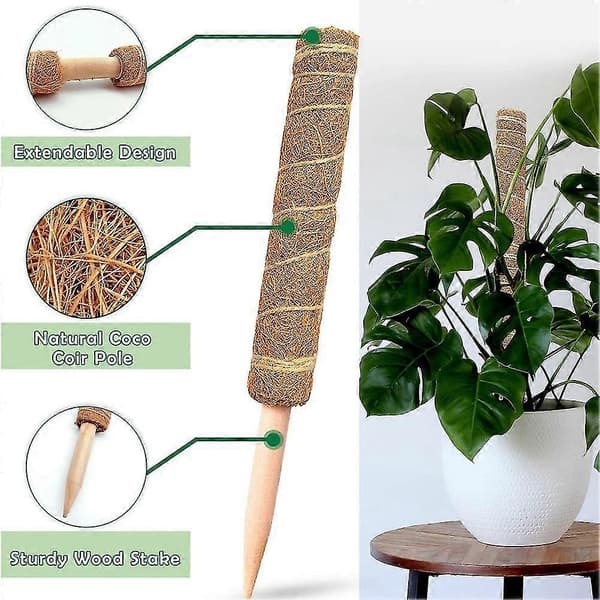 Moss Pole - 4-pack 40 cm Moss Pole för Växter Monstera, Växtstöd för Klättrande Inomhusväxter i Kruka