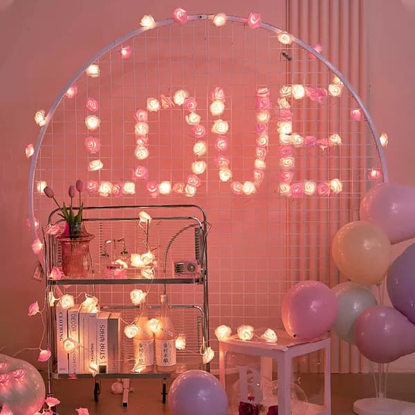 LED Ruusuvalosarja, 6m 40 LED USB Koristevalot syntymäpäiville