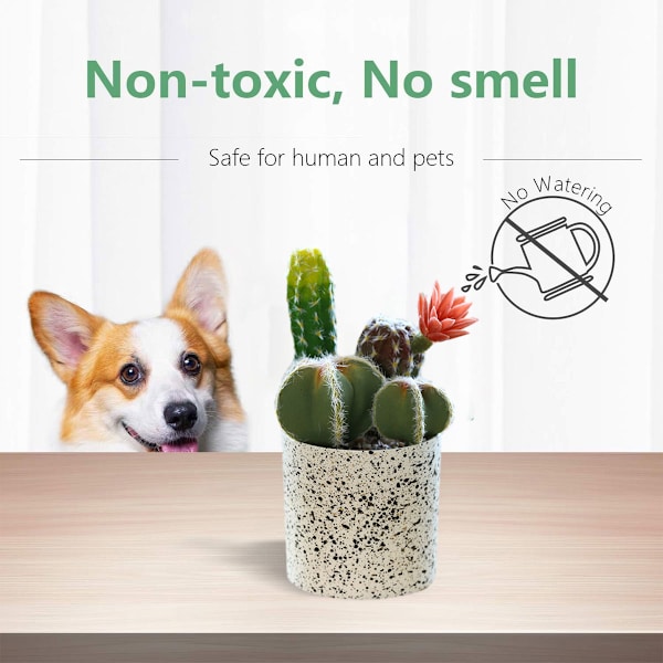 Falsk blomst tropisk plante kaktus bonsai kreativ dekoration
