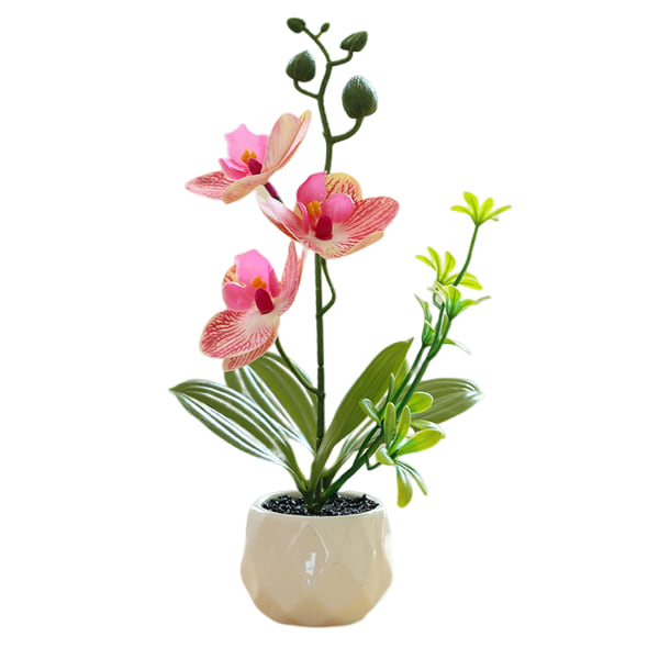 Tekokukka kaksoishaarainen simulaatio täplikäs phalaenopsis