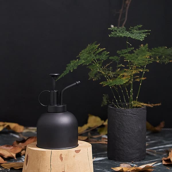Sprayflaske Vandkande i rustfrit stål til indendørs planter Bonsai