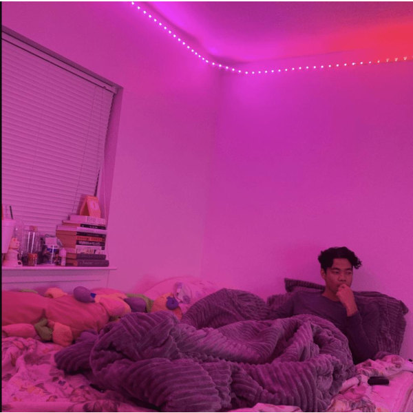 RGB LED-remsa - Ljusslinga - med fjärrkontroll - 5m 411