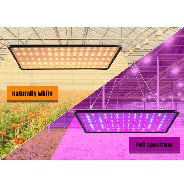 POWER odlingslampor för inomhusväxter Energisparande fullt spektrum