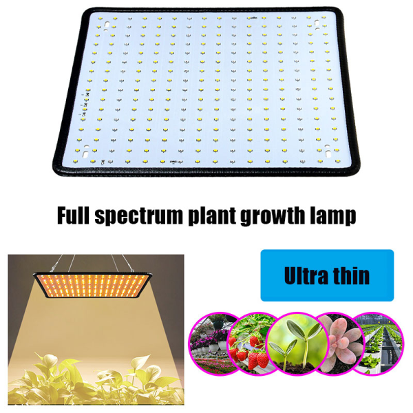 POWER odlingslampor för inomhusväxter Energisparande fullt spektrum