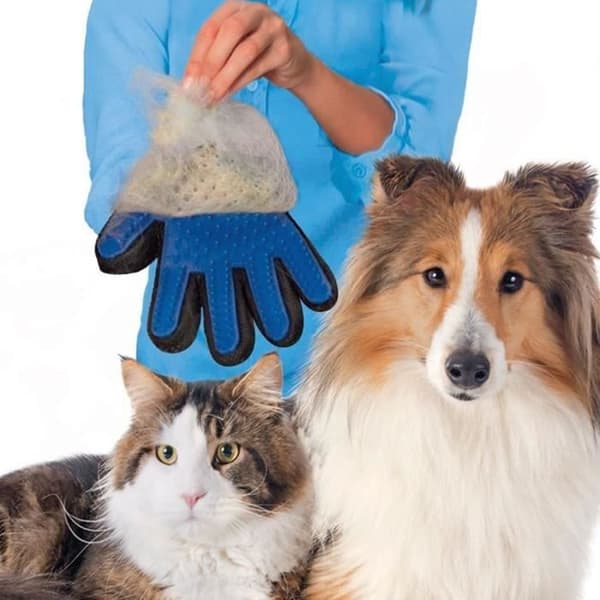 Børstehandske til kæledyr - Stor Smuk - Blød - Effektiv - Massage - Pleje