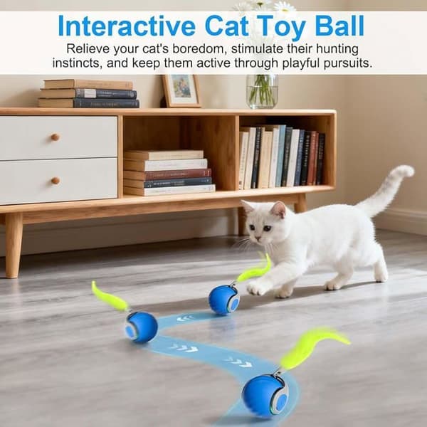 Interaktive Bold Legetøj til Katte, genopladelig elektrisk Indendørs Kat med Fuzzy Hale, 2,0 Blå (1 stk) LEGETØJ