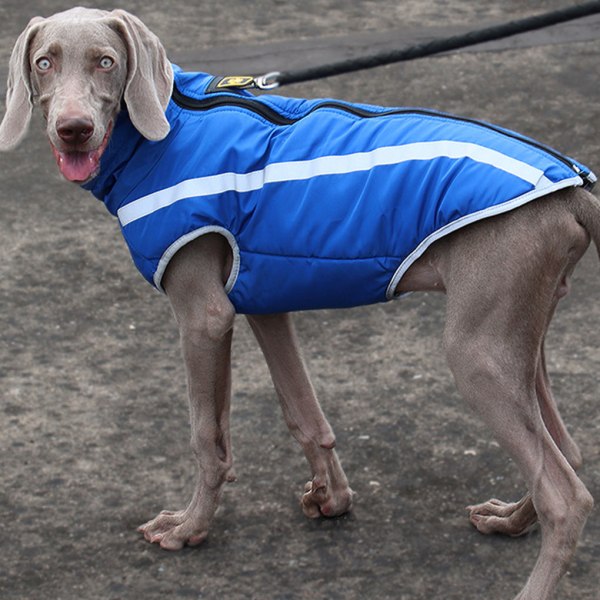 Vattentät hundjacka med reflekterande hundsäker på vinterpromenader Blue 5XL