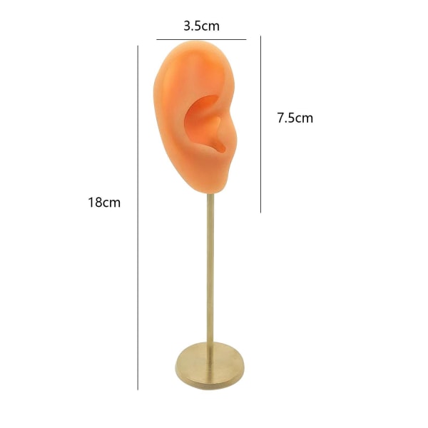 1/2/3 Örhänge Display Stand Human Ear Model Stud Holder Showcase Right Normal Skin Height: 18cm 1Set