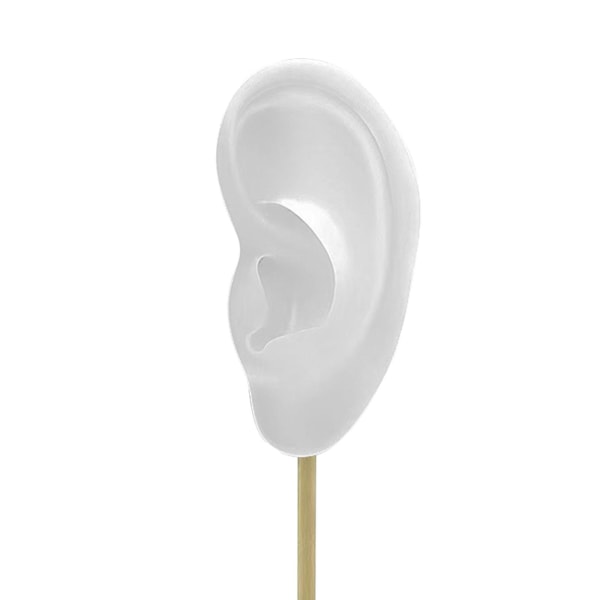 1/2/3 Örhänge Display Stand Human Ear Model Stud Holder Showcase Left Translucent Height: 18cm 1Set