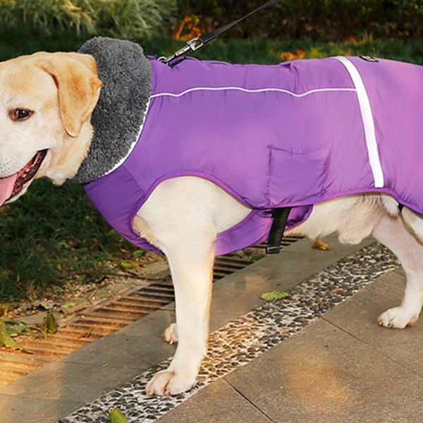 Snygg och varm hundvinterjacka med vattentät beläggning för hund purple XL