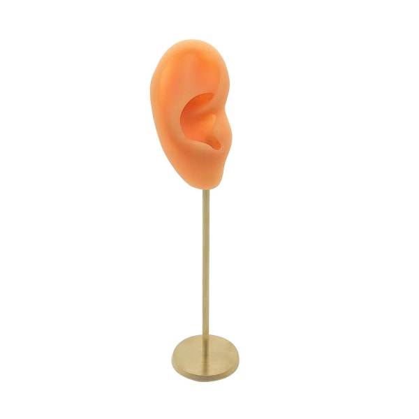 1/2/3 Örhänge Display Stand Human Ear Model Stud Holder Showcase Right Normal Skin Height: 18cm 1Set