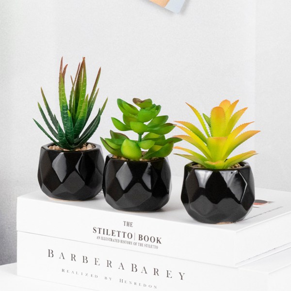 1/2/3 4 stycken Bonsai med lågt underhåll Lätt att rengöra och Duck billed AloeVera 1Set