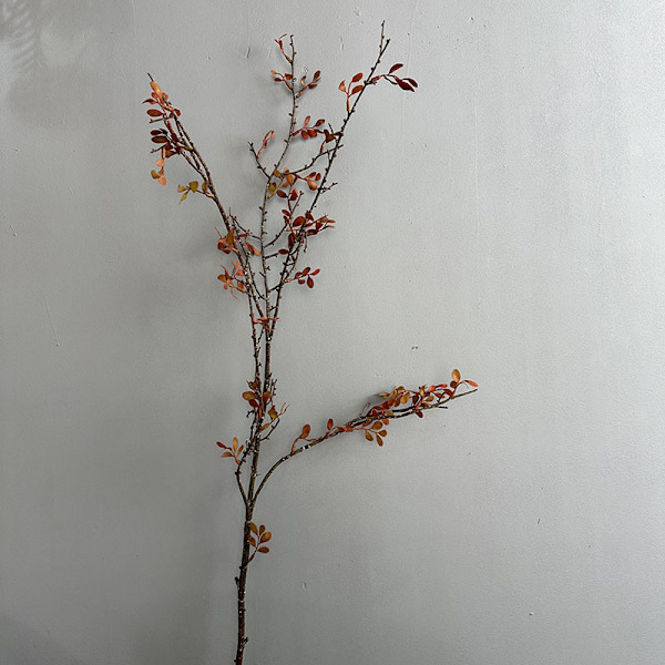 Keinotekoiset syksyn oksat, tekolehdet, villit oksat, metsätyylinen kukka Dead branches autumn leaves red