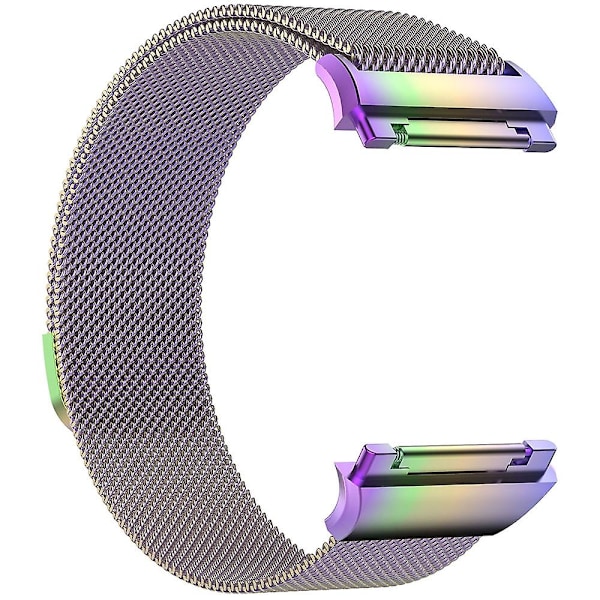Fargerik Fargerik kompatibel med Fitbit Ionic Milanese klokkereim Stor Størrelse : 24x2.2cm kompatibel med Fitbit Ionic