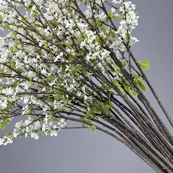 Simuleret Sneløn, Friske Gypsophila Kunstige Blomster, Boligindretning Fotorekvisitter Willow of Snow