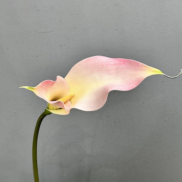 High-End Kunstig Calla Lily Dobbelt Kronblad Bryllupsbuket Hotelindretning Double-petaled horseshoe pink