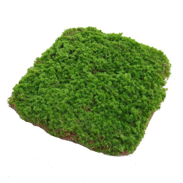 Toglandskap Layout Kunstig Plante Matte Simulering Mose Landskapsmodell Hjem Dekor DIY Matches the image 30x30cm