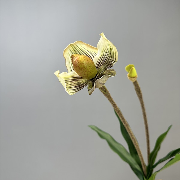 Simulert Paphiopedilum PVC Føles Ekte Kunstig Blomst Hjemmeinnredning 2-Hodet med Blader Orkidé Myk Dekor Green Elf