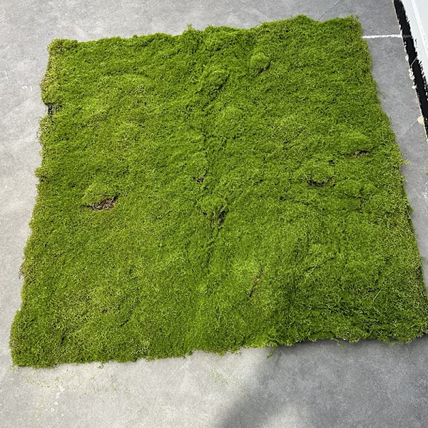 Kunstig Mos Fake Mos Baggrund Plante Vægdekoration Grøn Flocking Græstørv New Brown Silk Moss F03