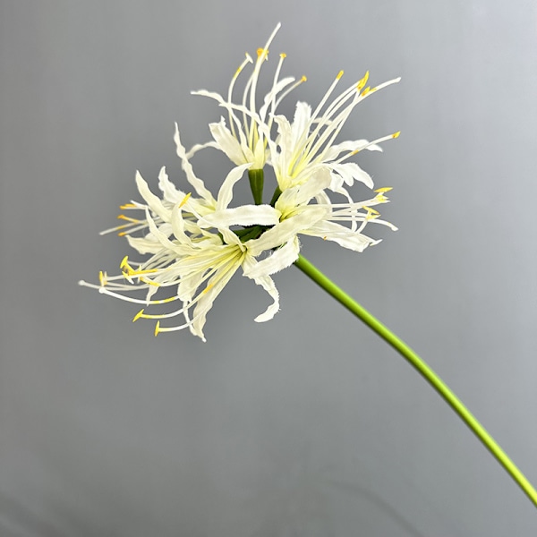 Storm Lily Heminredning Bröllop Foto Rekvisita Konstgjord Blomma Single branch of yellow spider lily