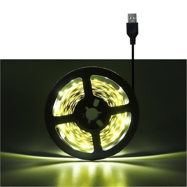 Tape Ribbon 24 Keys Remote LED Strip Light 0.5m / Only White Strip