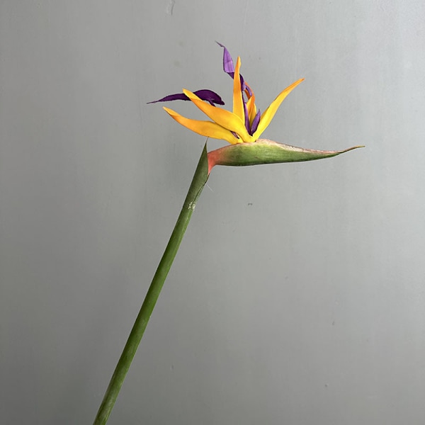 Stor, høykvalitets kunstig paradisfuglblomst for hjemmeinnredning og bryllupsrekvisitter Soft gel bird of paradise orange