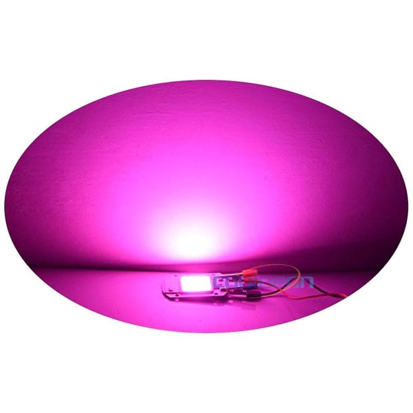 Fullspektrum växter Växande glödlampor- LED-lampa Smart Ic Chip 110V
