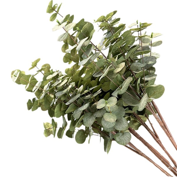 Tekoeukalyptuksen lehdet DIY-kukkakoristeisiin, kimppuihin ja kodin sisustukseen green