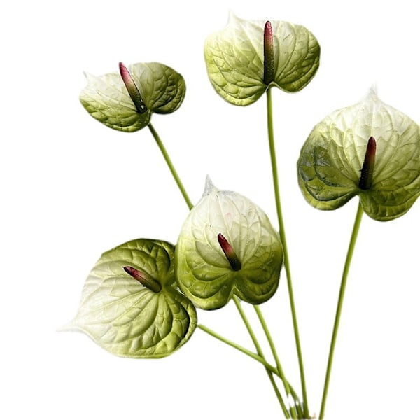 3D Röd Anthurium PU Känsla Konstgjord Blomma för Bröllop Heminredning Dark green with white edges