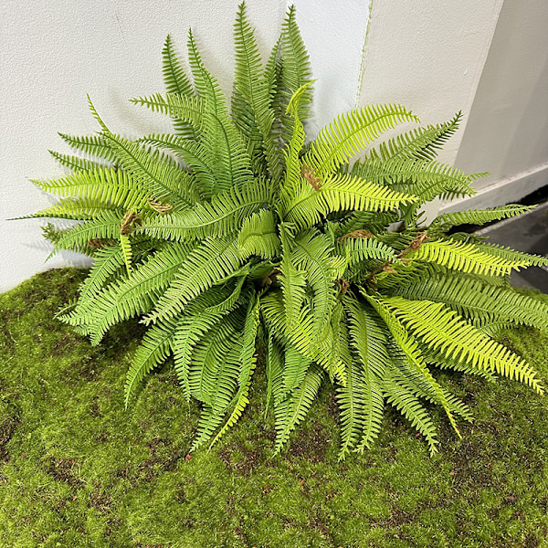 Keinotekoiset saniaislehdet persialainen ruoho pehmeä keinotekoiset kasvit seinäkoristeeksi kalanpyrstö saniainen 21-leaf phoenix leaf