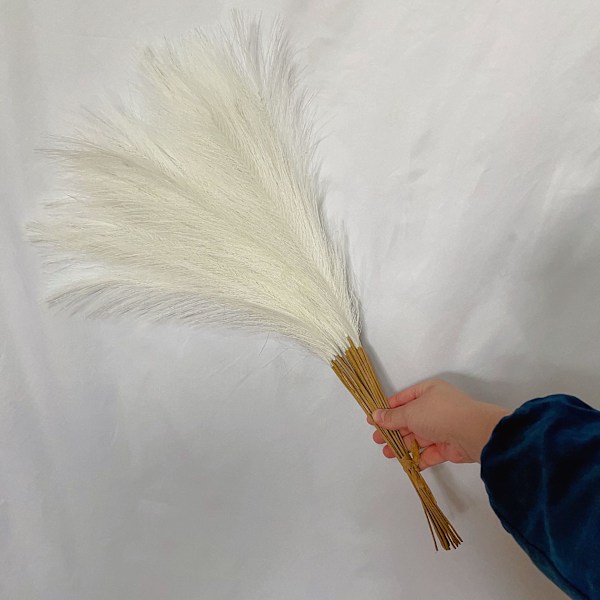 55CM 5/10/20ST Fluffig Pampasgräs Boho Dekor Blomma Falsk Växt Vass Simulerad Bröllopsfest Hem D Matches the image 20PCS